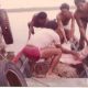 Tubarão capturado no Paraná da Eva, na década de 70