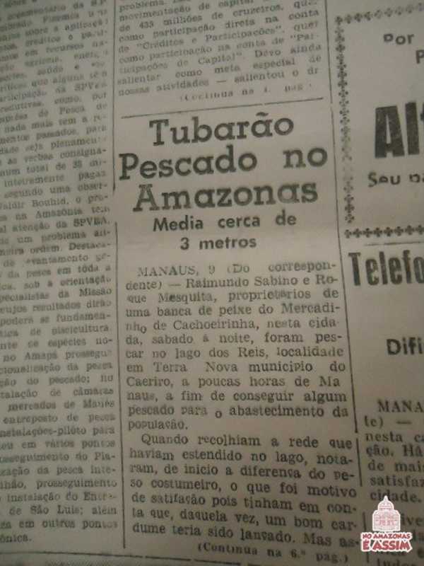 O jornal a " A Província do Pará", lançou este relato "Tubarão pescado no Amazonas media cerca de três metros":