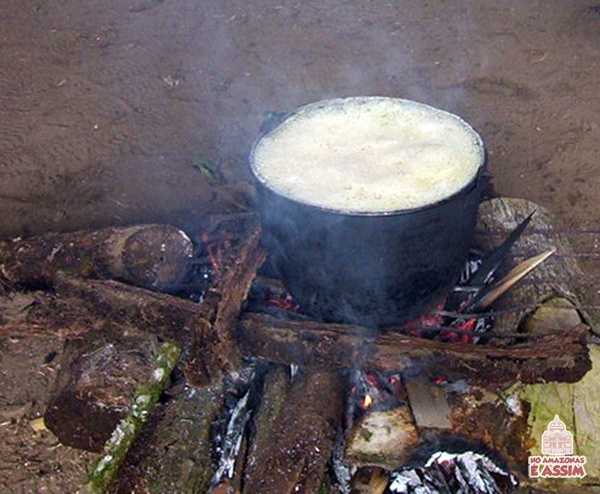 Ayahuasca sendo cozida