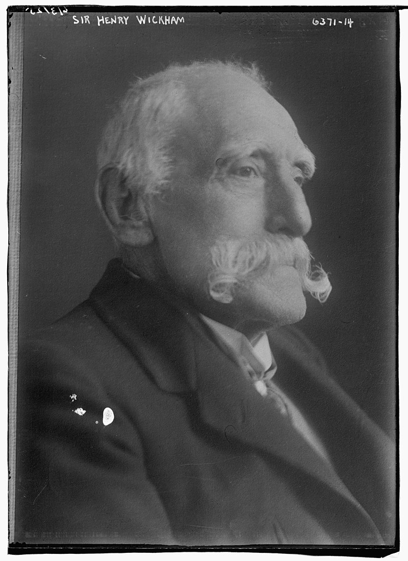 Sir Henry Alexander Wickham