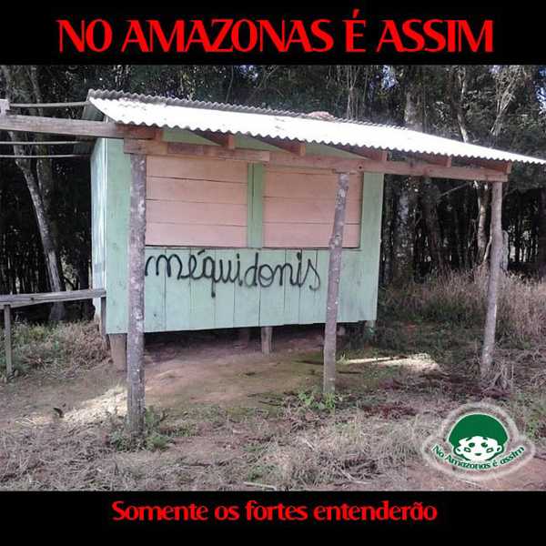 Placas Disgramadas no Amazonas