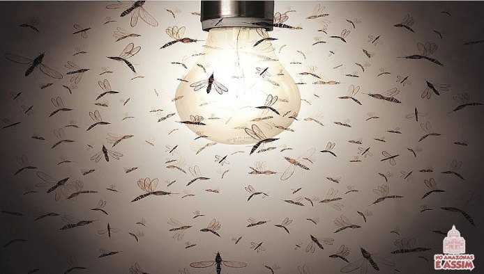 Por que os mosquitos são atraídos pelas lâmpadas?