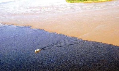 Encontro das Águas/Foto: Revista Viaje Pelo Amazonas