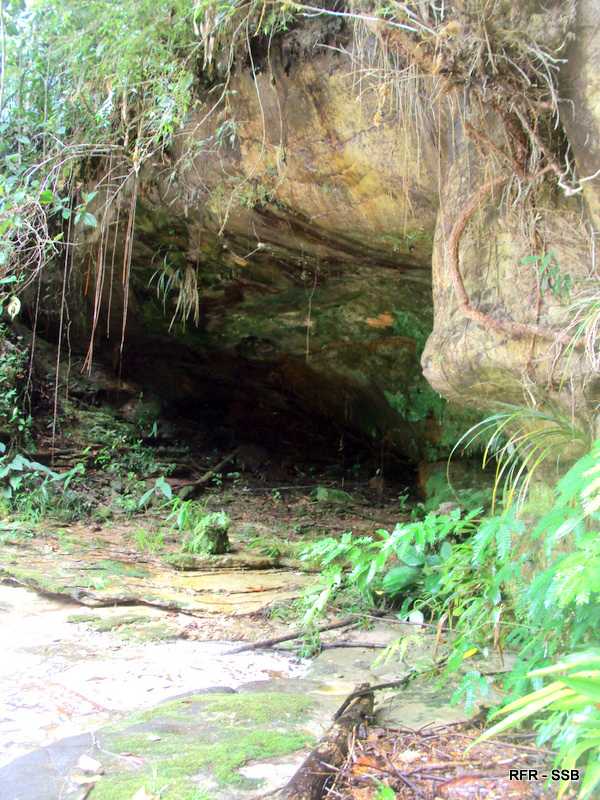 Cachoeira Santa Cláudia, Presidente Figueiredo Foto: Regina Rabello