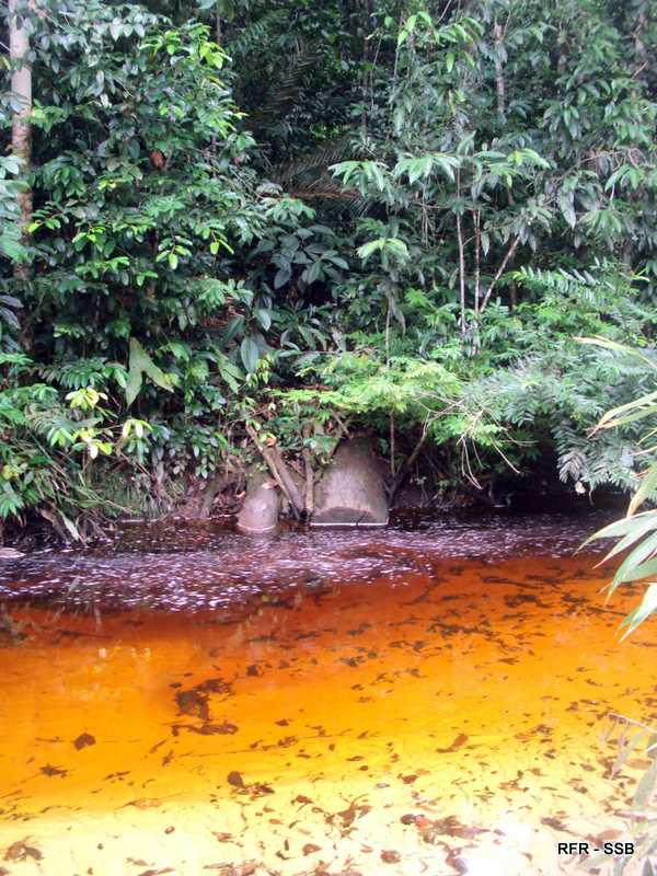 Cachoeira Santa Cláudia, Presidente Figueiredo Foto: Regina Rabello