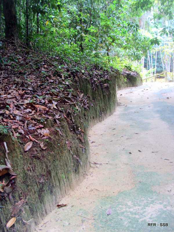 Cachoeira Santa Cláudia, Presidente Figueiredo Foto: Regina Rabello