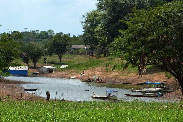 Lago do Janauari