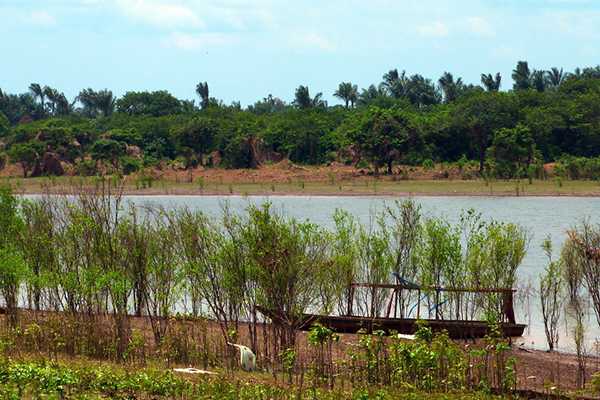 Lago do Janauari