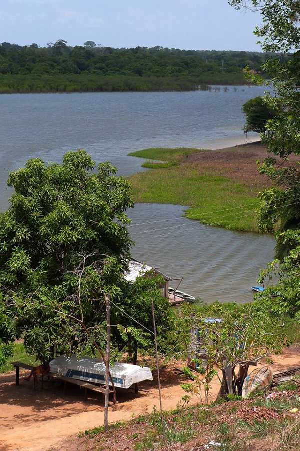 Lago do Janauari