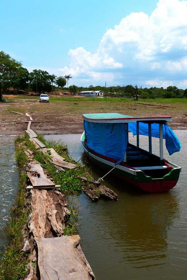 Lago do Janauari