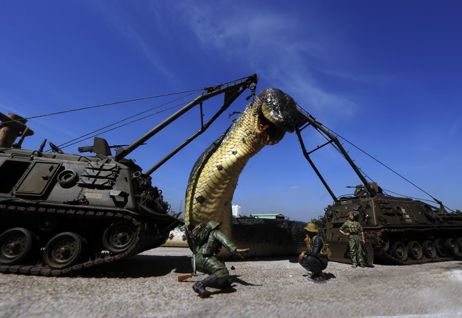 A maior cobra do mundo ja capturada pelo exercito (10)