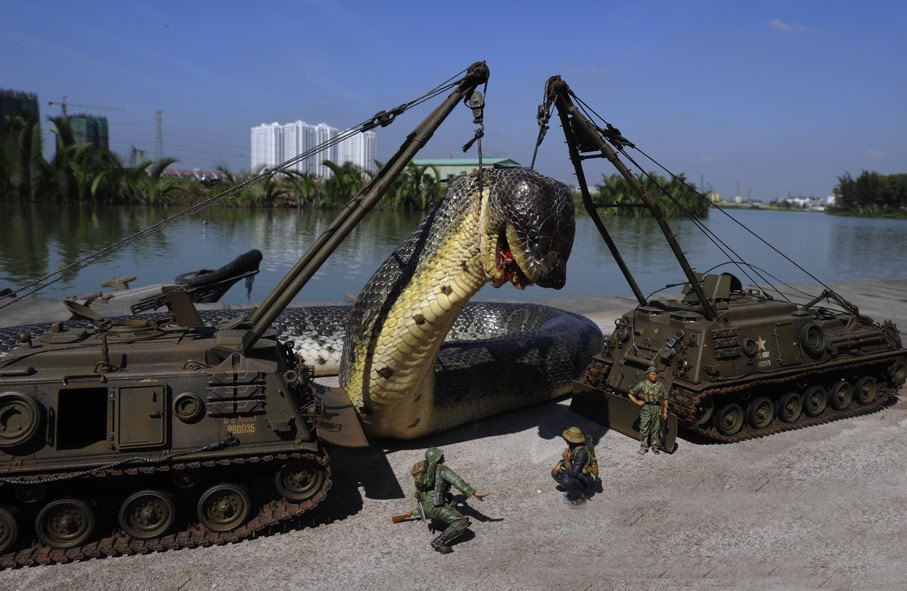 A maior cobra do mundo ja capturada pelo exercito (11)
