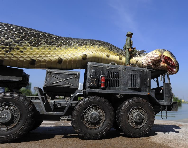 A maior cobra do mundo ja capturada pelo exercito (6)