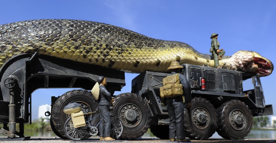 A maior cobra do mundo ja capturada pelo exercito (7)