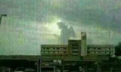 Um Anjo Salvou a Vida de Ana Maria?