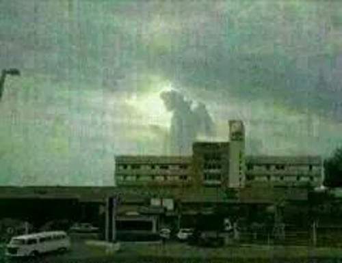 Um Anjo Salvou a Vida de Ana Maria?