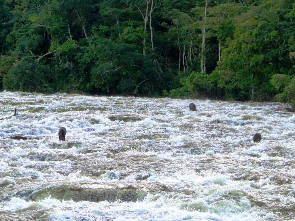 Cachoeira do Monte Cristo em Apuí Foto: Izac Theobald