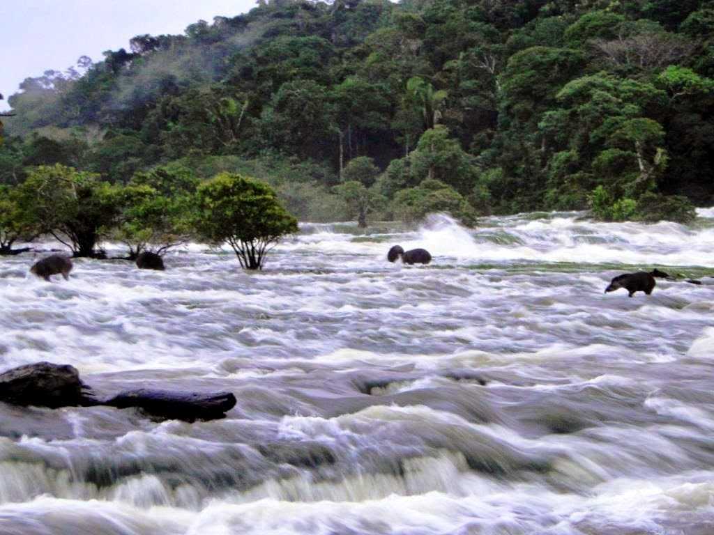Cachoeira do Monte Cristo em Apuí Foto: Izac Theobald