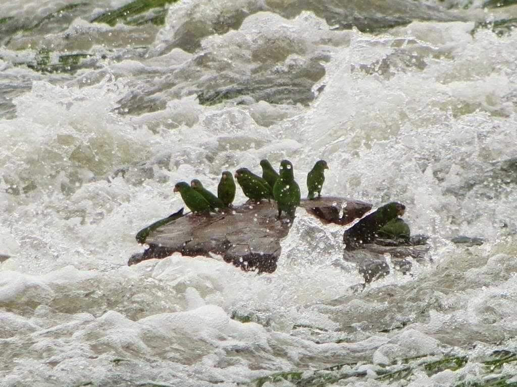 Cachoeira do Monte Cristo em Apuí Foto: Izac Theobald