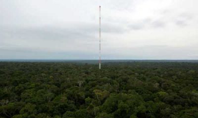 Torre mais alta do mundo é inaugurada na Amazônia