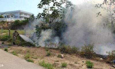 Tempo seco e forte calor contribuem para o aumento de incêndios em Manaus - Imagem de Divulgação
