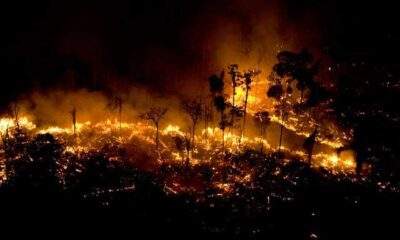 Queimadas fora de controle no Amazonas