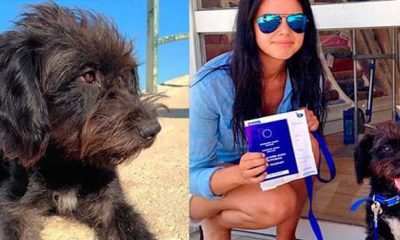 Estudante viaja milhares de quilometros e adota cadela que a salvou de um estupro