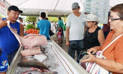 Feirão do Pescado tem 500t de peixe com preço baixo para Semana Santa