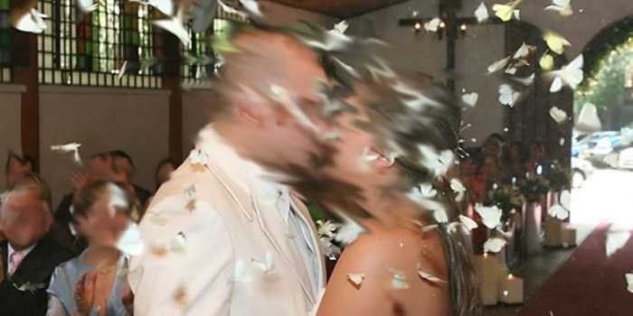 Borboletas são congeladas para serem jogadas em cerimônias de casamentos