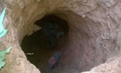 39 detentos fugiram pelo túnel – foto: divulgação/Polícia Militar