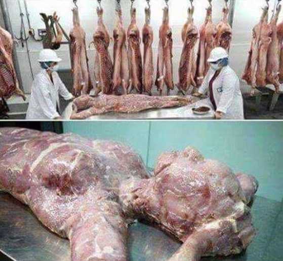 Governo chines investiga venda de carne humana para outros paises