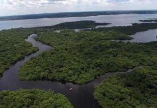 Saiba por quais países passa o Rio Amazonas / Foto: depositphotos