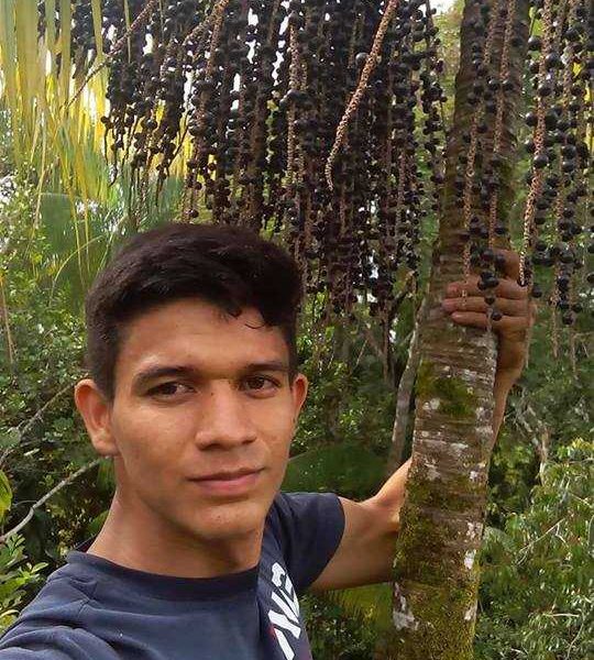 Caboclo Raiz : Em Barcelos jovem posta selfie em açaízeiro a mais de 25 metros de altura!