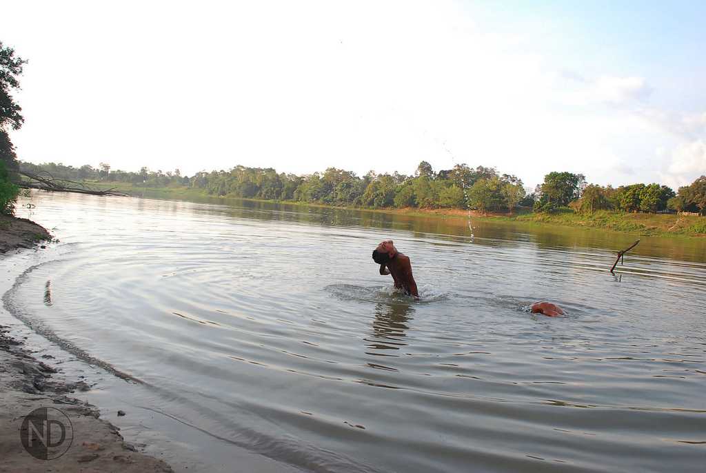 Lago Novo - Boca do Acre (AM) Um braço do rio Purus que ficou para trás. / Foto : Nattércia Damasceno