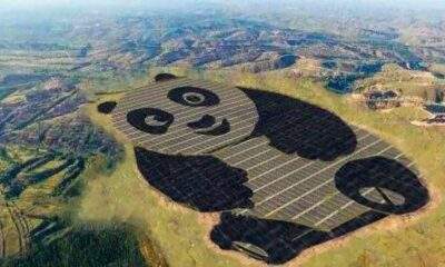 Grupo chinês inaugura uma planta solar em formato de panda no país