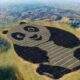 Grupo chinês inaugura uma planta solar em formato de panda no país