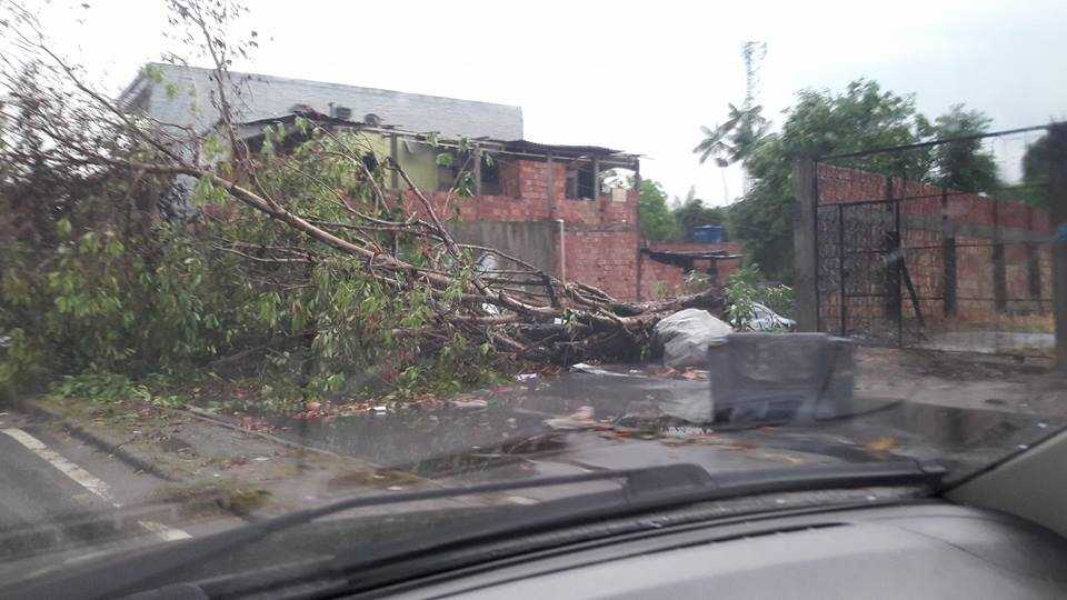 Forte temporal causa destruição em Manaus - Imagem: Breno Max