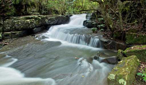  Parque Nacional dos Campos Amazônicos na altura de Novo Aripuanã / Foto : Divulgação