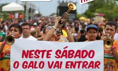 Galo de Manaus promoverá arrastão de Frevo no Centro de Manaus rumo à Banda da B.I.C.A