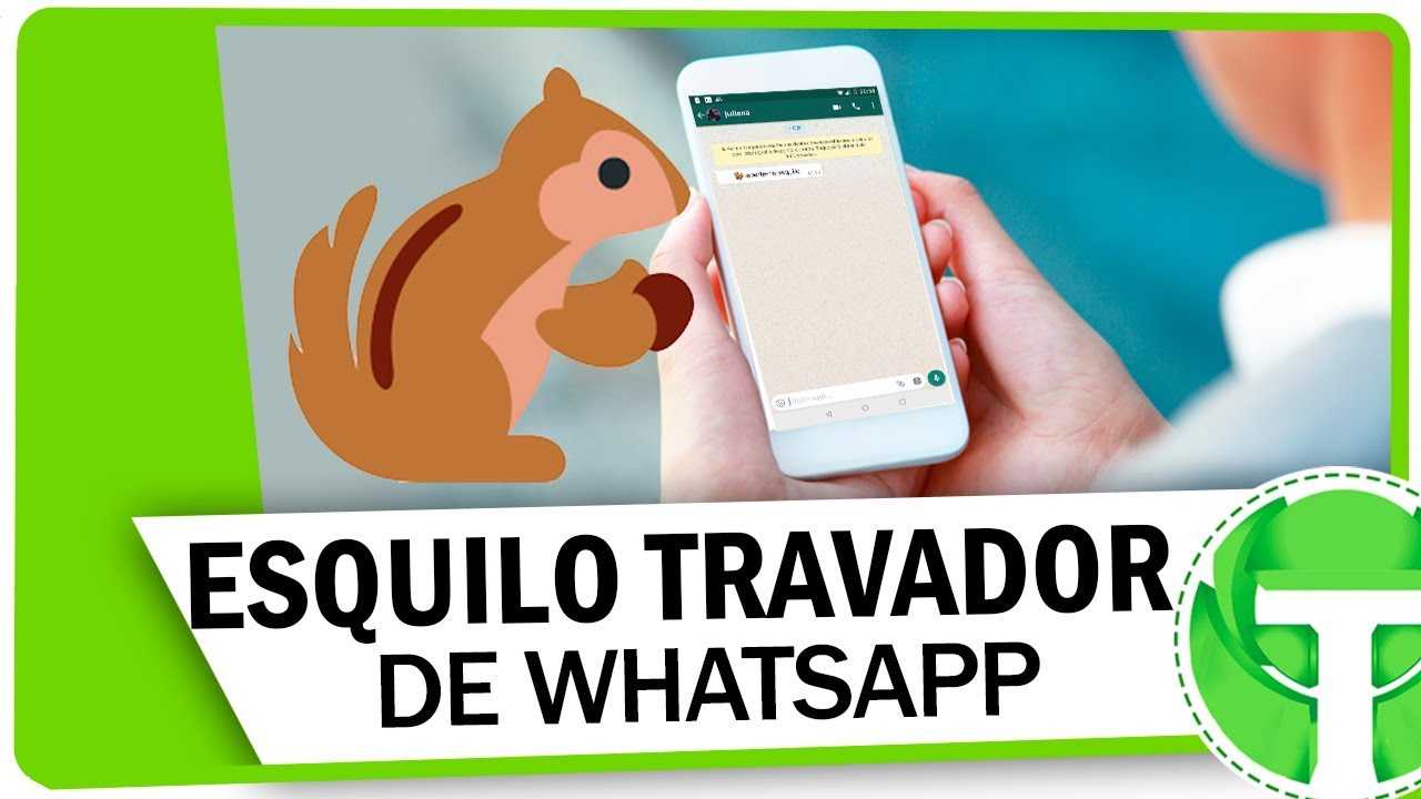 ATENÇÃO : Saiba porque o maldito esquilo trava seu Whatsapp no Android