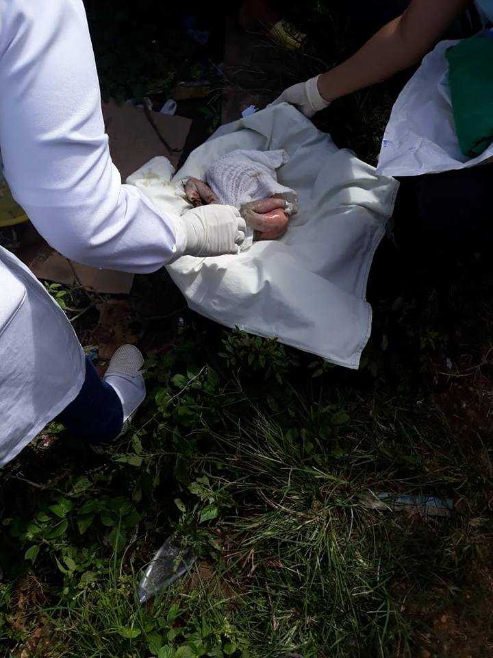 O corpo de um bebê recém-nascido é encontrado em bueiro, no Amazonas - Imagem: Divulgação