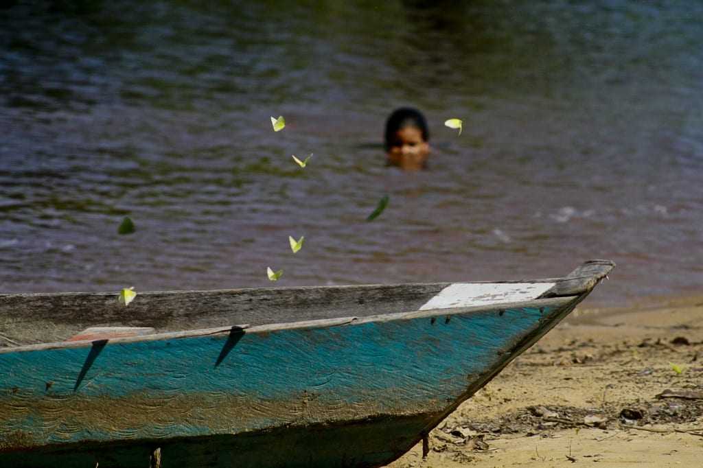 A vida nas águas do Tupé. / Foto Alberto César Araújo-Amazônia Real