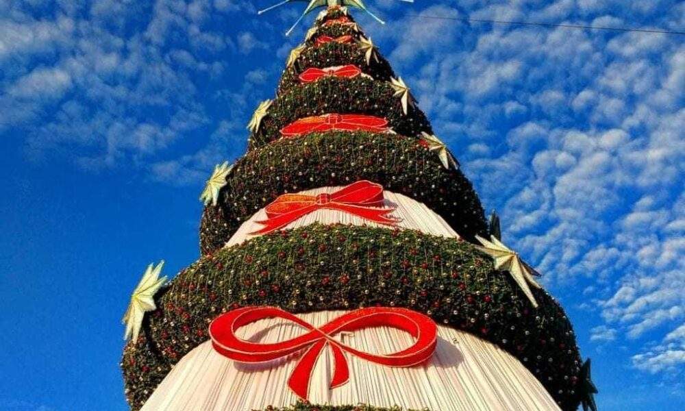 Inaugurada a maior árvore de Natal de Manaus. A bicha é maceta!