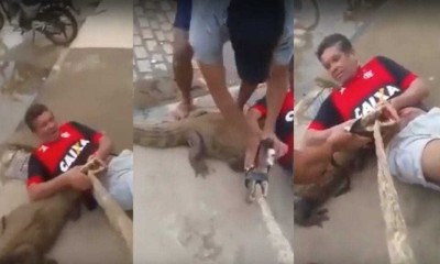 Vídeo: Jacaré ataca homem na rua durante tentativa de captura