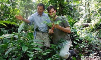 Wikipedia das plantas medicinais: Tribo amazônica cria enciclopédia de plantas medicinais com 500 páginas