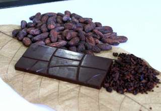 Barra de chocolate é produzida com cacau da floresta amazônica com a adição de algumas frutas regionais. / Foto: Barbara Brito/Fapeam