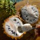 Fruta biribá - Imagem - Divulgaçãb