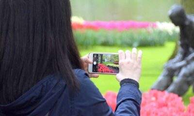 Holanda cria regras para proteger suas tulipas das selfies dos turistas