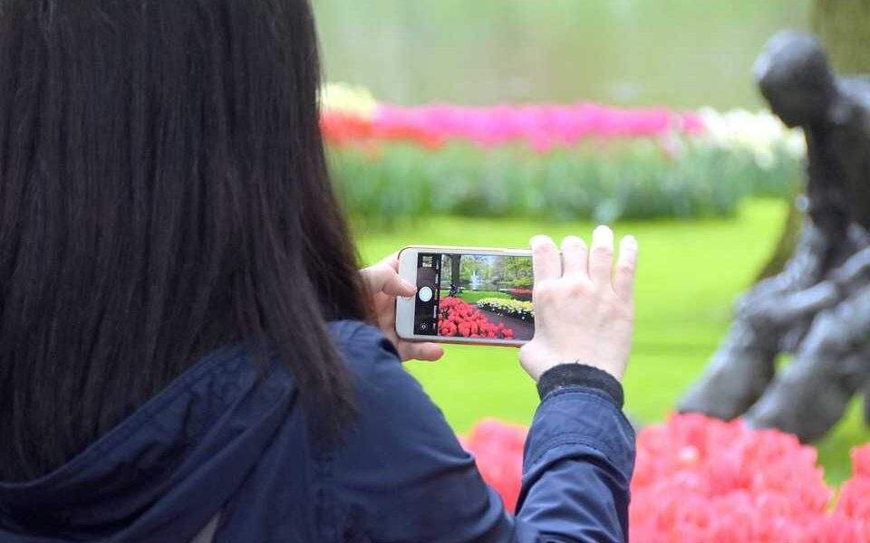 Holanda cria regras para proteger suas tulipas das selfies dos turistas