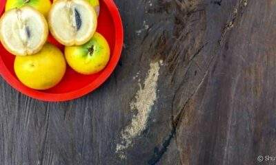 Abiu ajuda o organismo a funcionar bem